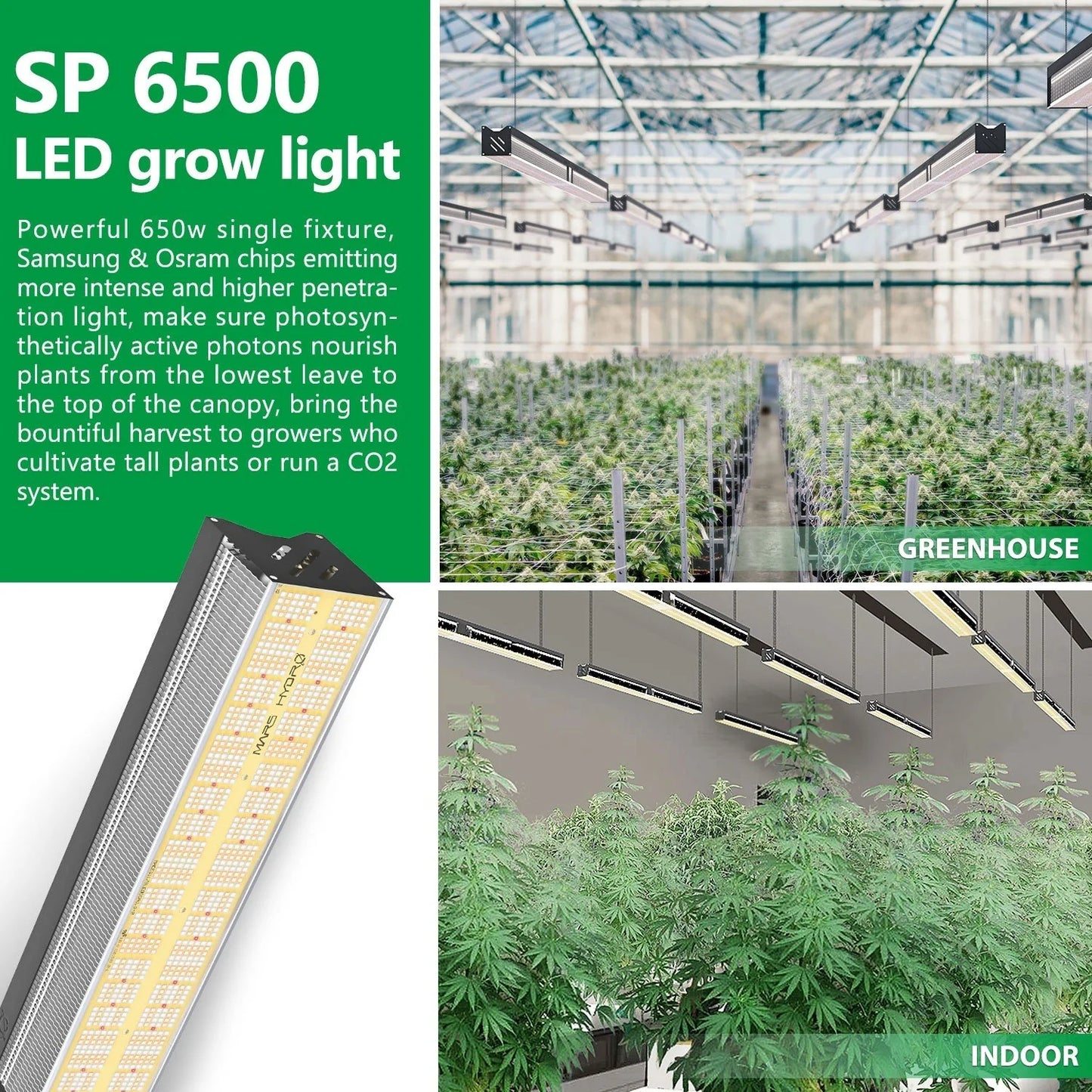 Mars Hydro SP6500 Full Spectrum Chips