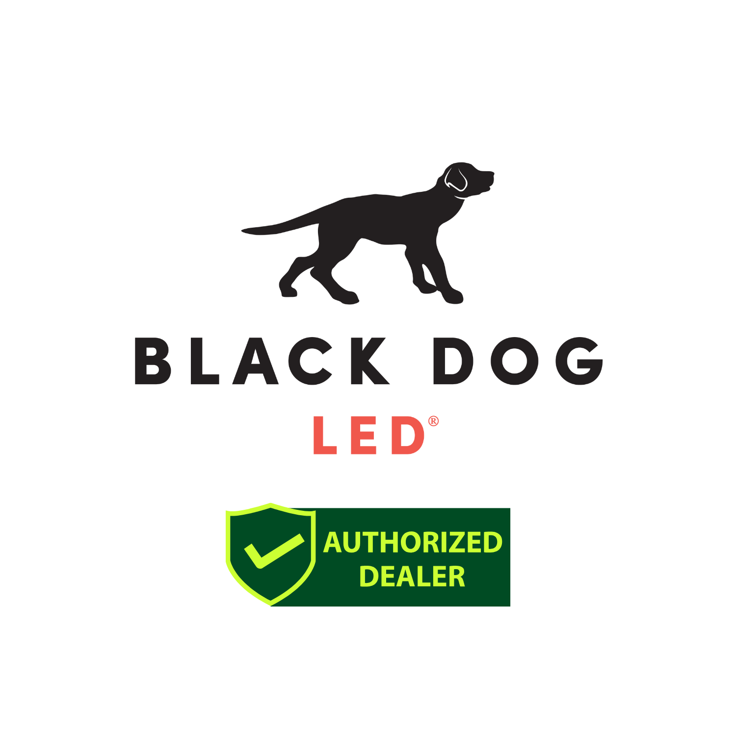 Black Dog LED