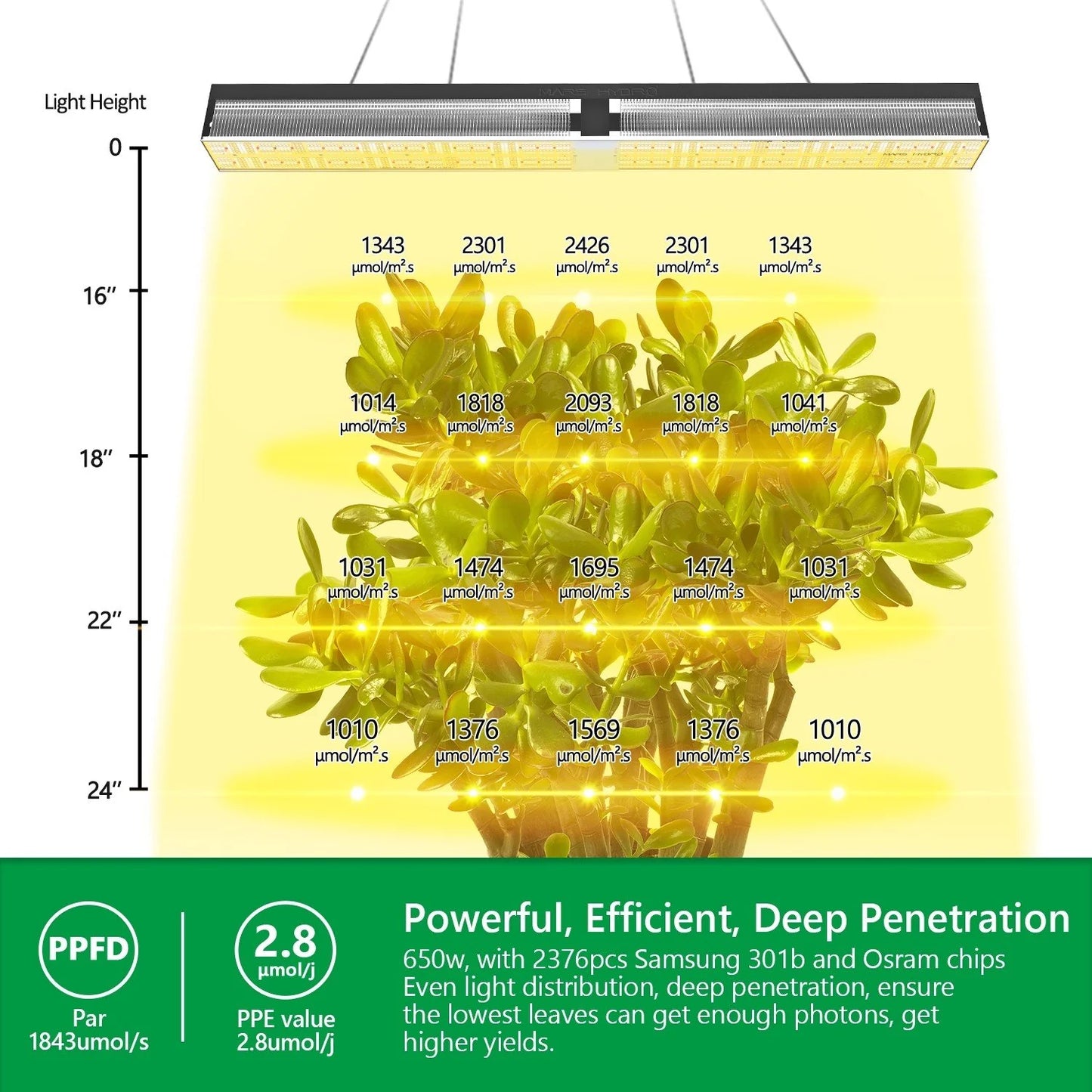 Mars Hydro SP6500 Full Spectrum Penetration