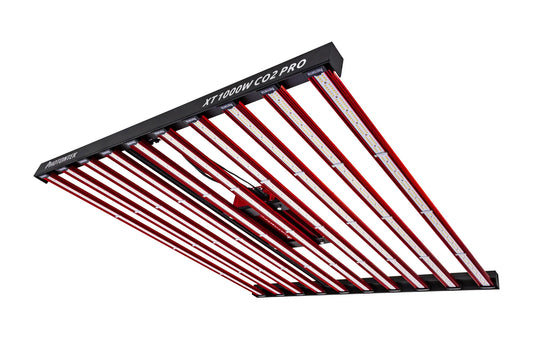 Photontek XT 1000W CO2 Pro LED Image